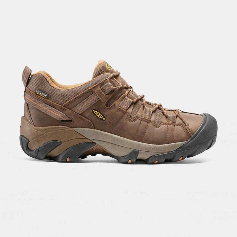 Keen 靴 | キーン ターギー 2 防水 登山 靴 メンズ ブラウン | 728149-AZJ